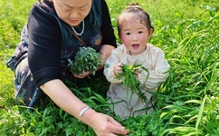 强开小嫩苞videosex